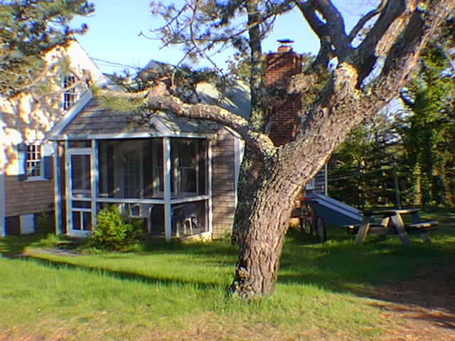 seasid2.jpg - 61.2 K